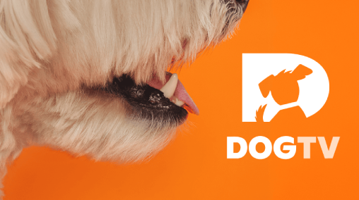 Você e seu melhor amigo